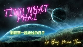 Tình nhạt phai 《一起走过的日子-刘德华》- Cùng sống lại giai điệu năm xưa