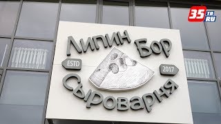 Европейские сорта сыра начали производить в Вологодской области