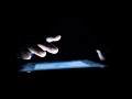 Warning issued as romance scammers swindle millions