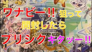 ワナビー！狙って開封したらプリシク降臨したぞー‼︎【遊戯王サイバーストームアクセス開封】