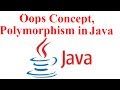 Oop's Concept,Polymorphism in Java Programming