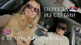 Переезжаем из Сербии в Великобританию с собакой на машине 🐶