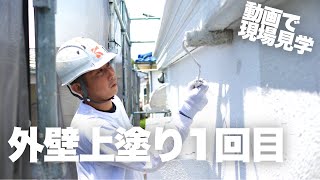 動画で現場見学｜外壁上塗り1回目