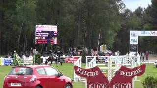 2014 - Crown Talisman - 6th Place Saumur CCI*** Show Jumping