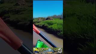 Kayakeando a la tarde  #pescaenkayak #river #fishing #aventuraenkayak #kayakeando #argentina