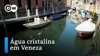 Coronavírus deixa canais de Veneza mais limpos