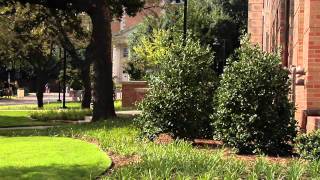 The UNT Life Sciences Complex