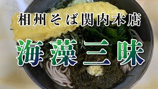 【相州そば 関内本店】海藻三昧そば＋イカ天【中区 住吉町】横浜朝めしチャンネル【海藻三昧】