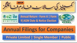 SECP Annual Return Filing for Companies. How to file #Form A \u0026 29 under Companies Act 2017. #format