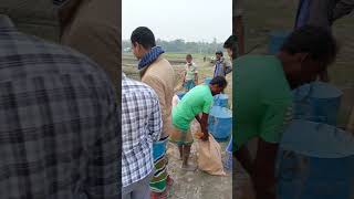 মাশাল্লাহ দেখুন কত মাছ #fishing #fhising #shortvideo #fish