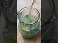 refreshing lemon lime ginger mint and cider vinegar water recipe