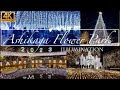 Ashikaga Flower Park Illumination 2023 [The World's Most Beautiful Wisteria Garden]