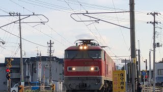 JR貨物EF510形19号機+コキ20B高速貨物列車3099レ(6時間48分遅延) 福岡タ→札幌タ　撮影日:2023/04/18