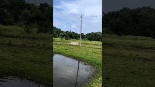 Trip to Rachkonda Fort #rachakondafort #rachakonda #fort #nature #naturelovers #water #greenery