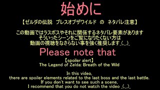 【ブレワイ】依頼を受けて、城で戦うカースなんちゃらで鉄板焼きをしてみた【ドリカラ】【ゼルダの伝説ブレスオブザワイルド,BotW,ゼル伝,字幕実況】