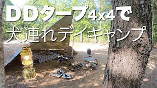 【焚き火で鉄板ステーキ】DDタープ4x4のダイヤモンド張りで焚き火ステーキを味わう、犬連れキャンプ。〈Short ver.〉