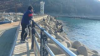 부산 가덕도 대항방파제 Busan Gadeokdo Daehang Breakwater