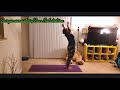 suryanamaskar sun salutations