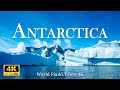 THE ANTARCTICA Relaxation Film 4K • Peaceful Relaxing Music • Nature 4k Video UltraHD