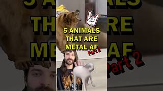 5 Metal Animals - Part 2