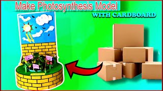 How to make Photosynthesis model for Science Project with cardboard, 3D Photosynthesis Working model