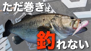 釣れる「ただ巻き」できていますか？