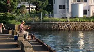 夕まづめで釣りまくりな前島フェリーふ頭と、大型釣り船の出航準備 2022/7/14日17:55