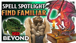 Why You Should Take Find Familiar | Spell Spotlight | D&D Beyond