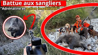Battue aux sangliers SAMEDI & DIMANCHE Adrénaline et action inoubliable