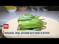 Mengenal okra Sayuran Kaya Serat dan Nutrisi