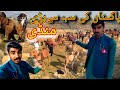 Largest Camel Mandi of Pakistan ||Camal mandi ka Visit