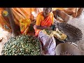 how farmers harvest areca nuts this way areca nuts processing factory farming documentary