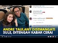 ANDRE Taulany Gugat Cerai Istri Jadi Sorotan Netizen, Sule Beri Semangat Untuk Sahabatnya