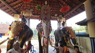 Panchavadyam @ Kottayi Champrakulam Utram Vilakku 2022