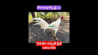 వీడియో నచ్చితే ప్లీజ్ subscribe