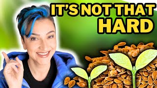 How to STRATIFY seeds LIKE A PRO