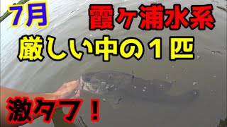 7月 激ムズの日の霞ヶ浦釣行！！バス釣り