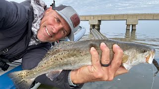 IT'S ON! Speckled Trout Hugging to Bridge Pilings!