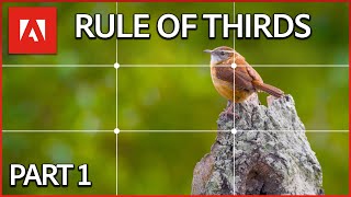 Understanding the Rule of Thirds | Adobe Design Principles Course