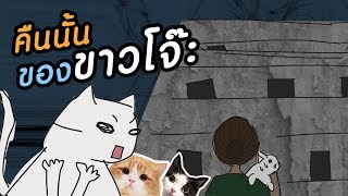 Theycallmemeaow | เรื่องคืนนั้นของขาวโจ๊ะ