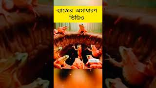 আশ্চর্য ভিডিও # ভাইরাল সেই ভিডিও # ব্যাংগের ভিডিও # shorts #funny #tiktok# subscribe #