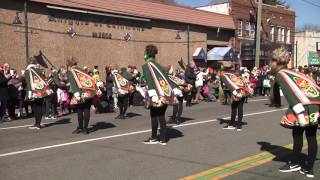 2017 Mineola St. Patricks Day Parade