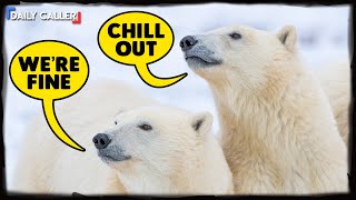 The Best Climate Predictions That Never Came True