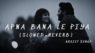 Apna Bana Le - Slowed + Reverb | Arijit Singh (From "Bhediya")
