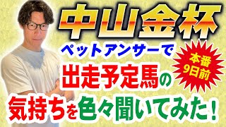 【中山金杯2025】9日前の各馬の気持ち、聞いちゃいました！