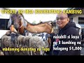 Price Update ng mga binibentang kambing Padre Garcia Batangas