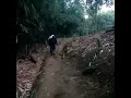 makam galisul , kerajaan Mataram Islam. bogor