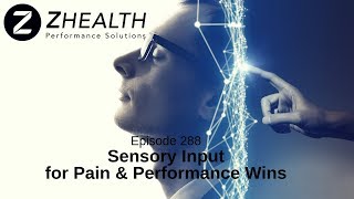 Sensory Input for Pain \u0026 Performance Wins