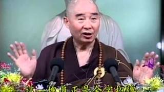 Kinh Vô Lượng Thọ tập 8.mpg - Pháp Sư Tịnh Không