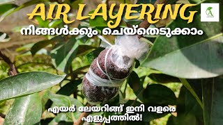 എയർ ലേയറിങ്ങ് ചെയ്യാൻ ഇത്ര എളുപ്പമോ!!!!!!😱😱😱 | AGRO Tricks #agriculture #agro #keralafarming